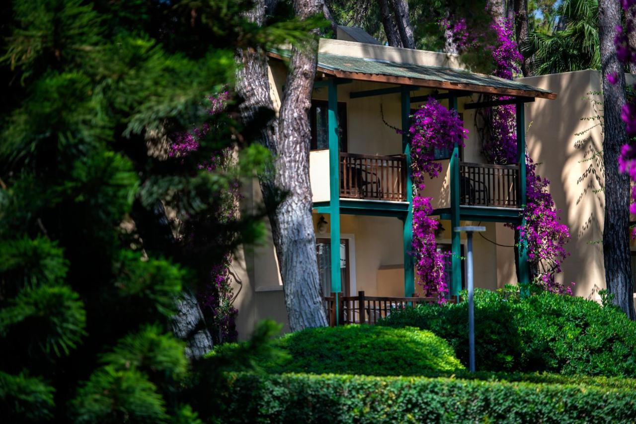 Turquoise Hotel シダ エクステリア 写真