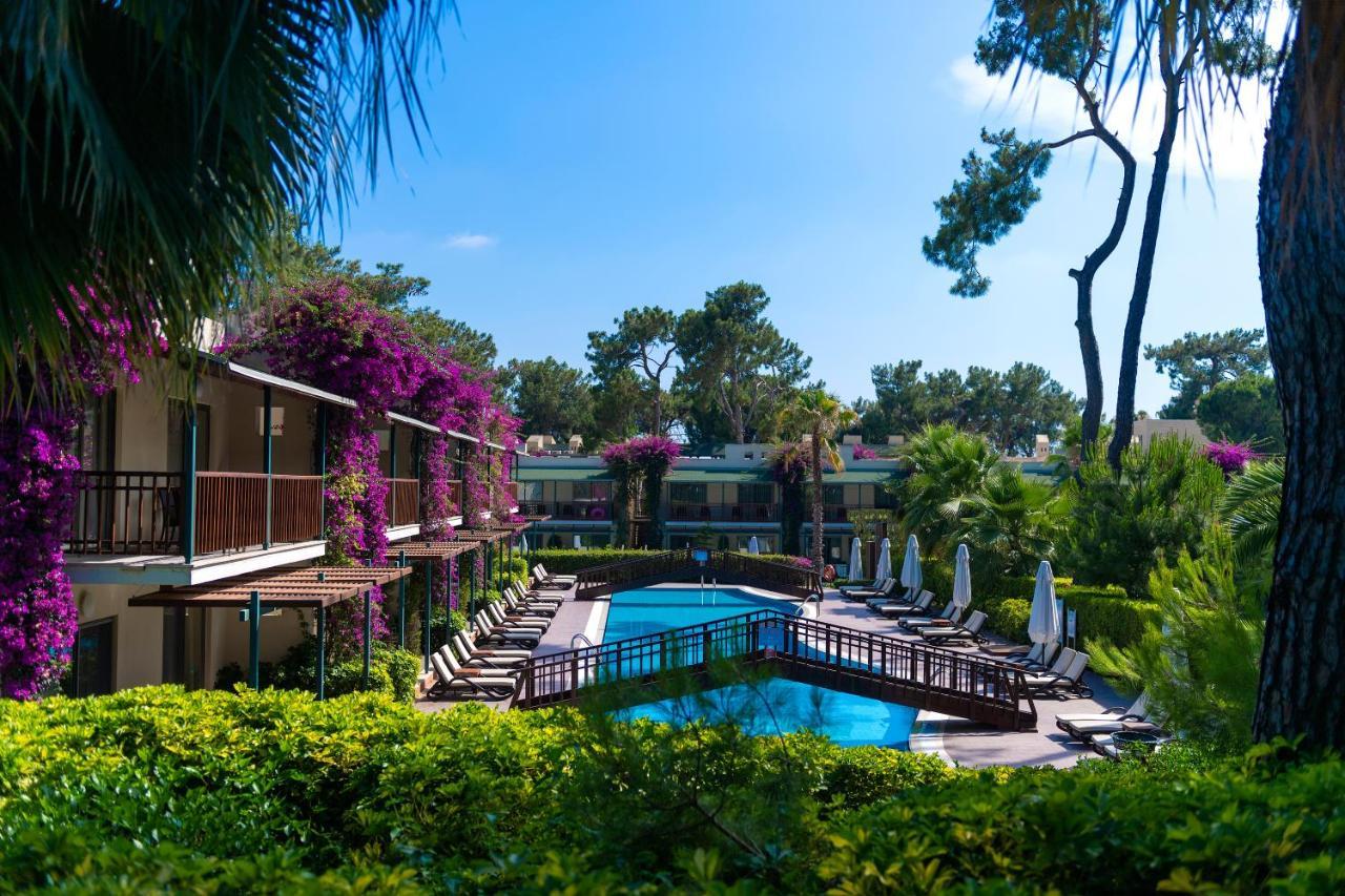 Turquoise Hotel シダ エクステリア 写真