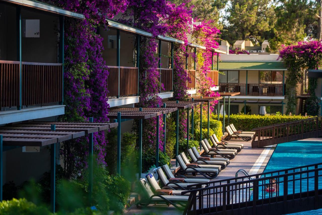 Turquoise Hotel シダ エクステリア 写真